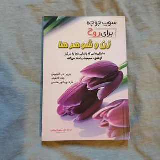 کتاب سوپ جوجه زن و شوهر