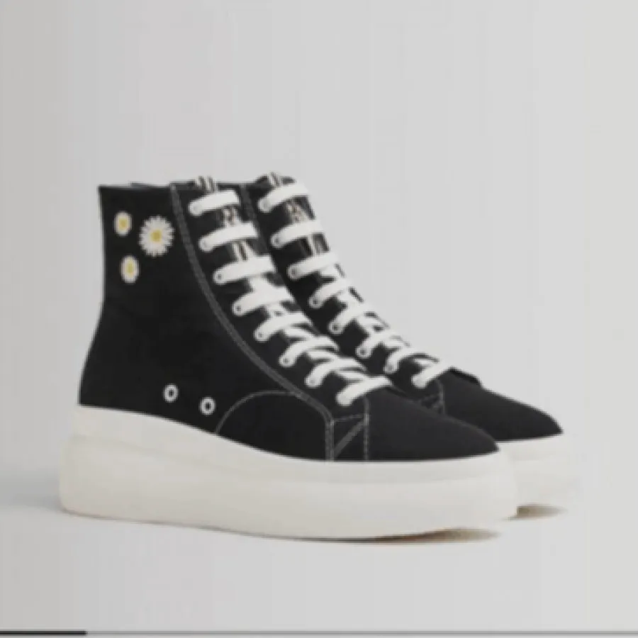 Bershka 2025 converse platform