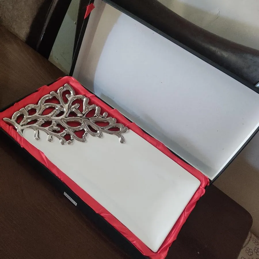 ظرف دیس پذیرایی