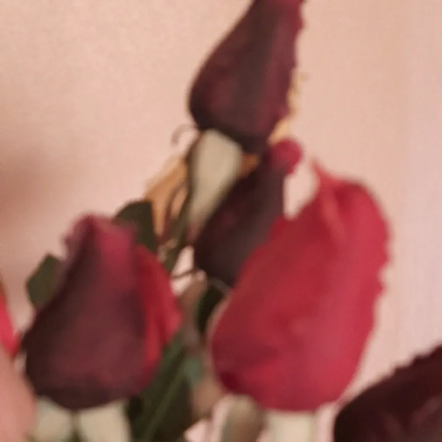 غنچه گل