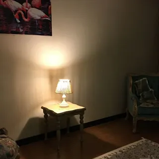آباژور شیک