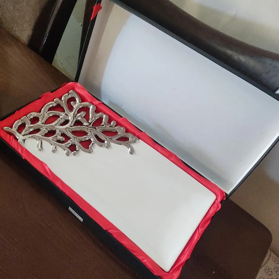 ظرف دیس پذیرایی