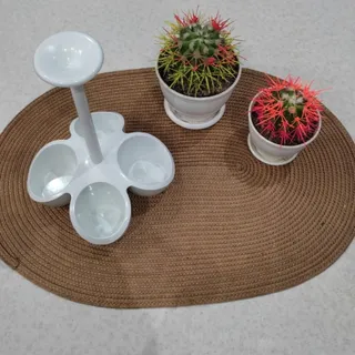 جای تخم مرغ