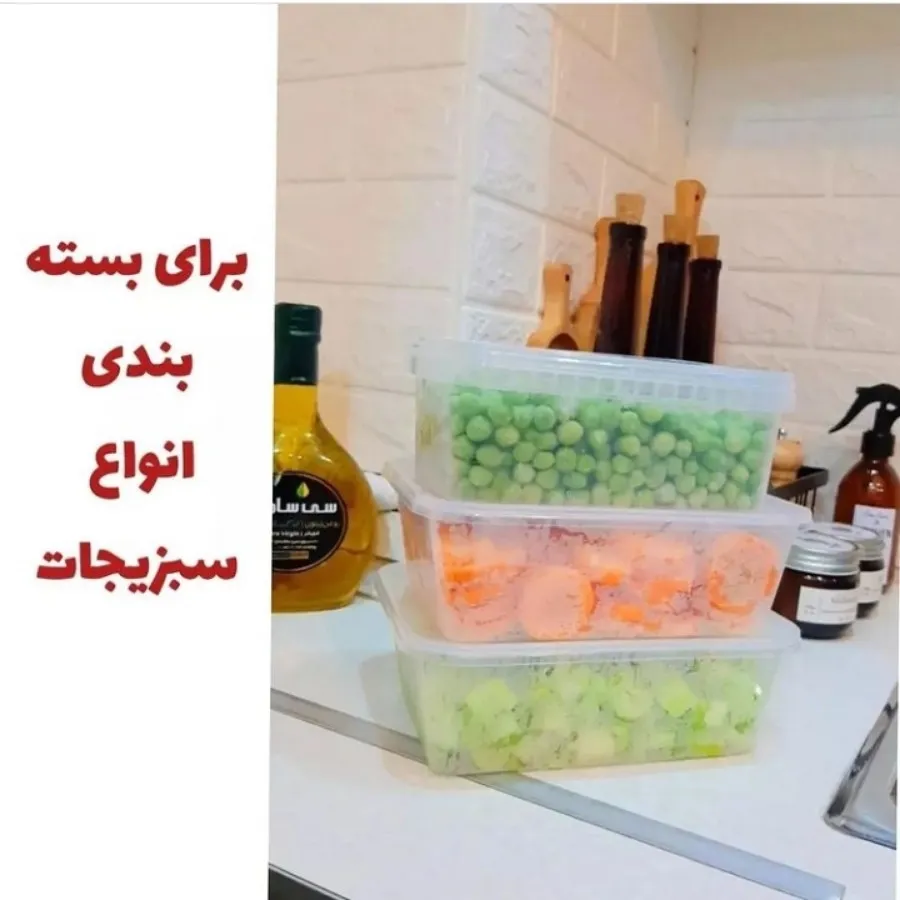 ظروف فریزری