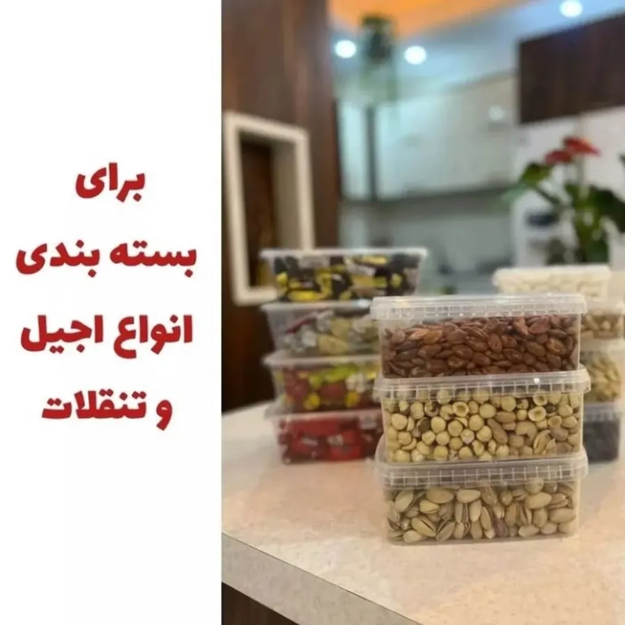 ظروف فریزری