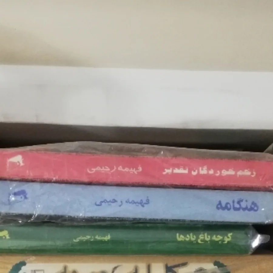 کتاب رمان فهیمه رحیمی