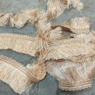 ریشه