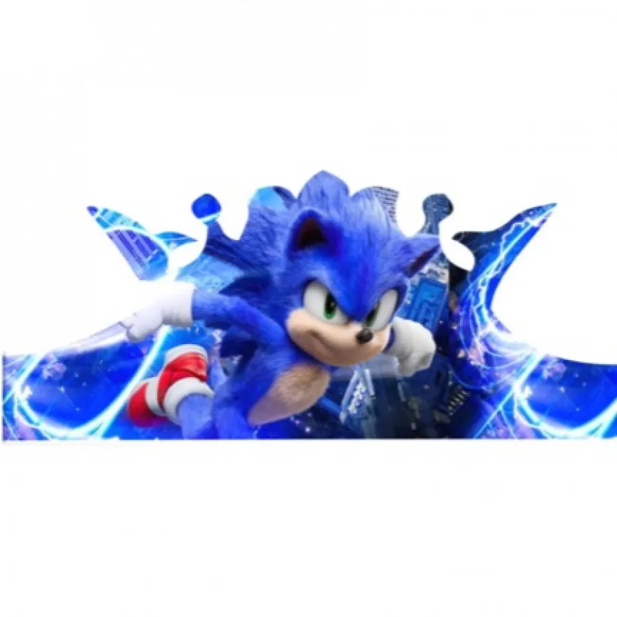 تم تولد سونیک خارپشته