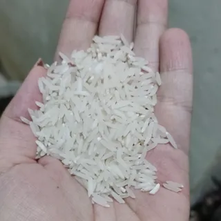 برنج روشن شمال
