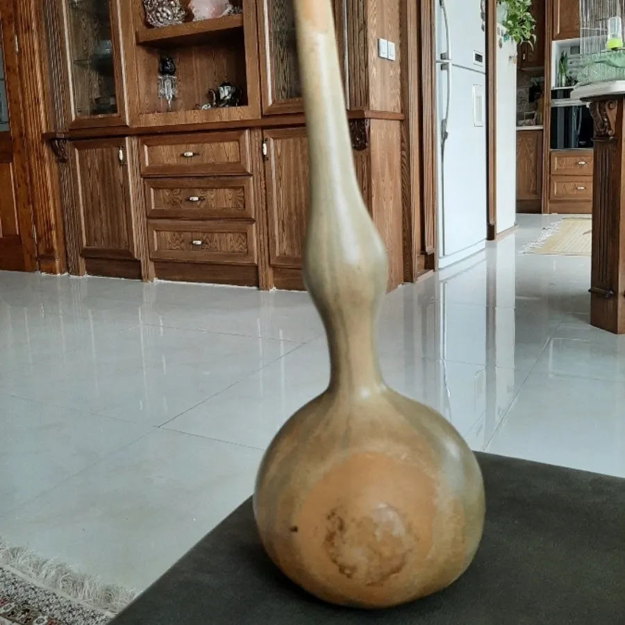 کدو تزیینی