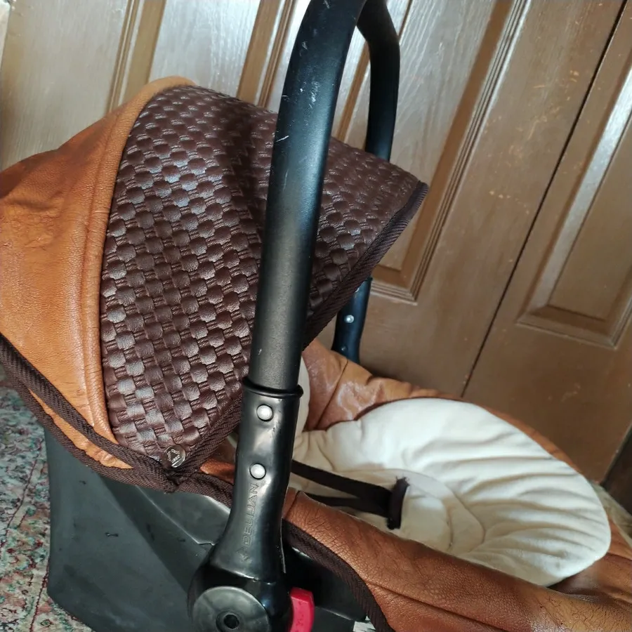 کریر نوزادی دلیجان