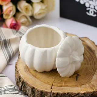 ظرف بتنی دربدار