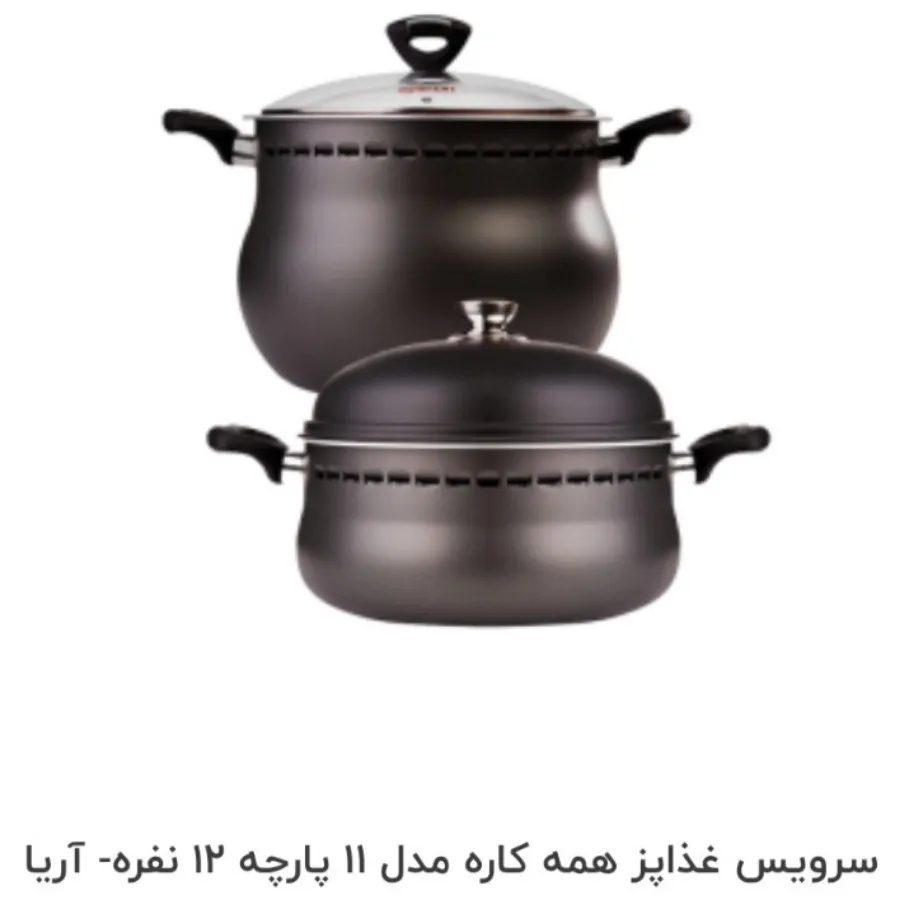 سرویس غذاپز بیز