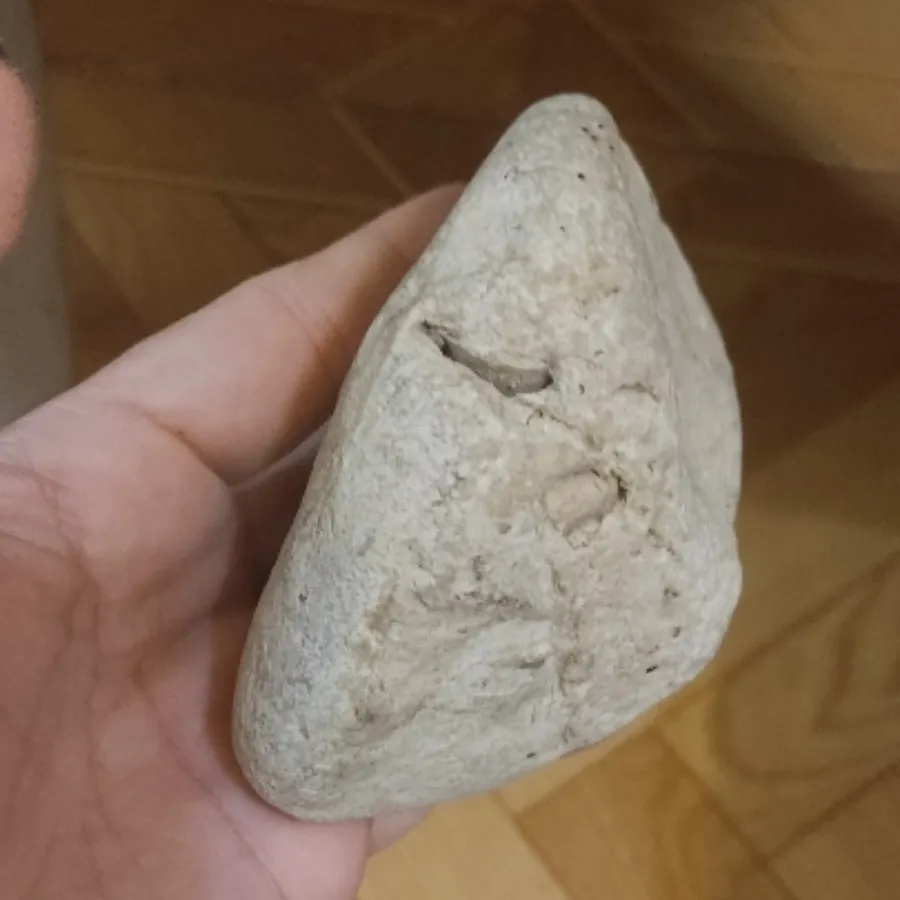 فسیل