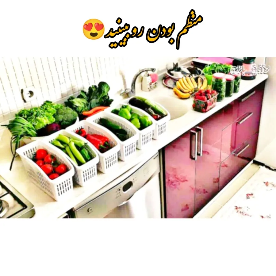 سبد نظم دهنده یخچال