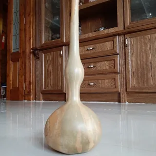 کدو تزیینی