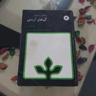 گیاهان آوندی