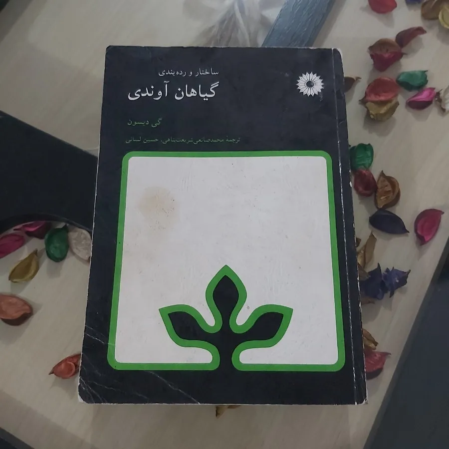 گیاهان آوندی