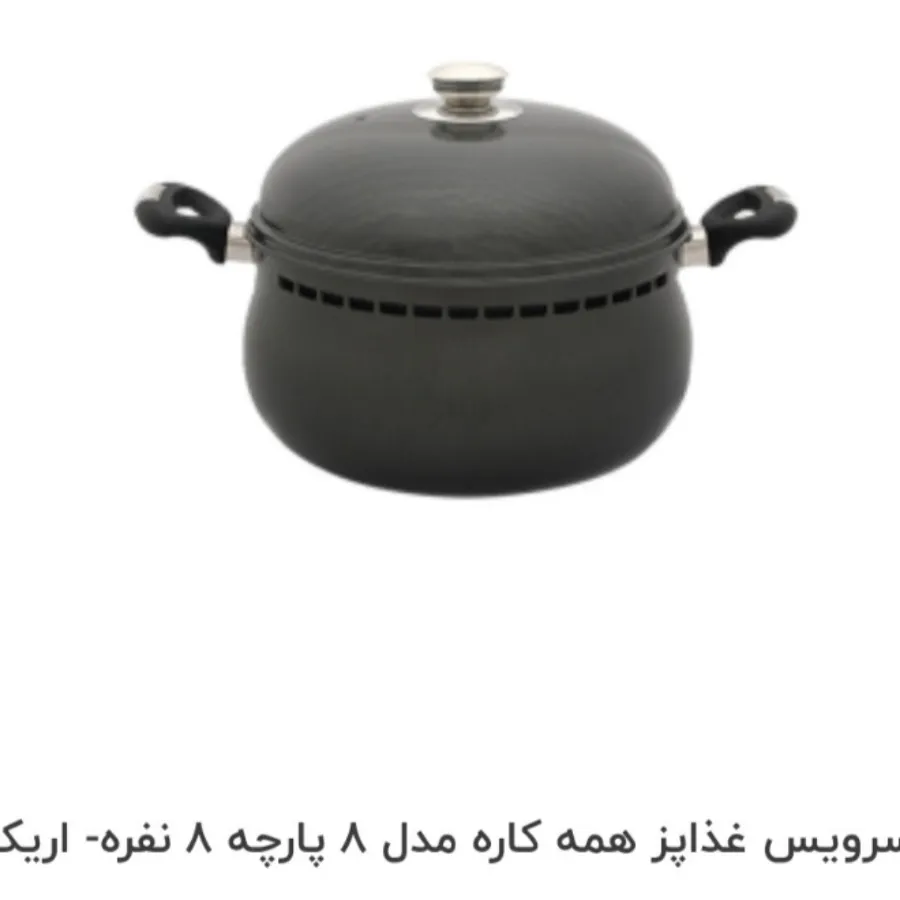 سرویس غذاپز بیز