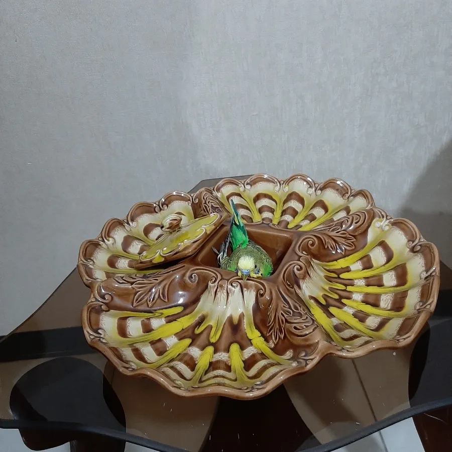 اردو خوری ژاپنی قطر 37