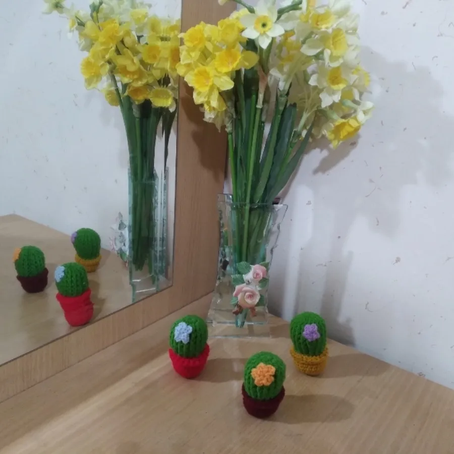 کاکتوس من