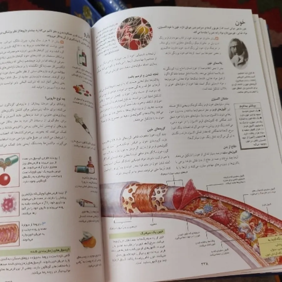 فرهنگنامه طلایی کلید دانش