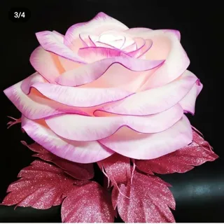 گل رومیزی اباژوری
