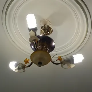 لوسترزیبا