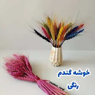 خوشه گندم(دسته 30خوشه ای)