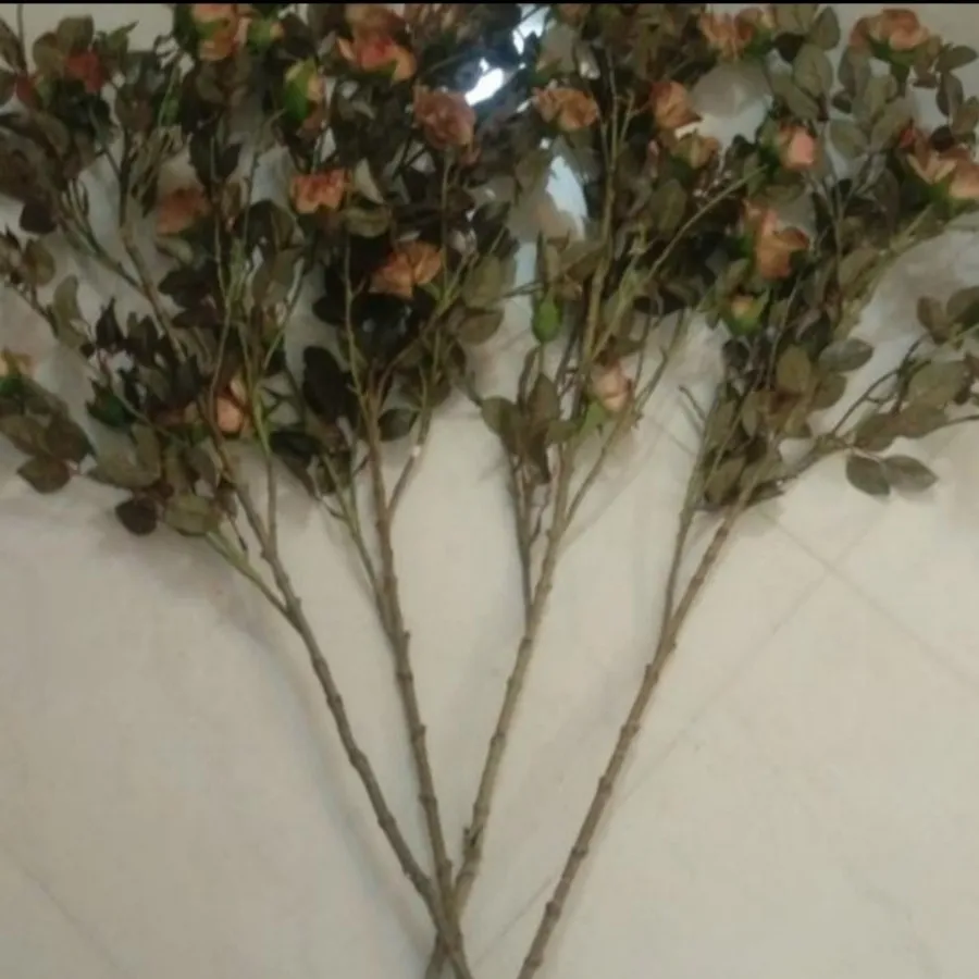گل‌های خارجی