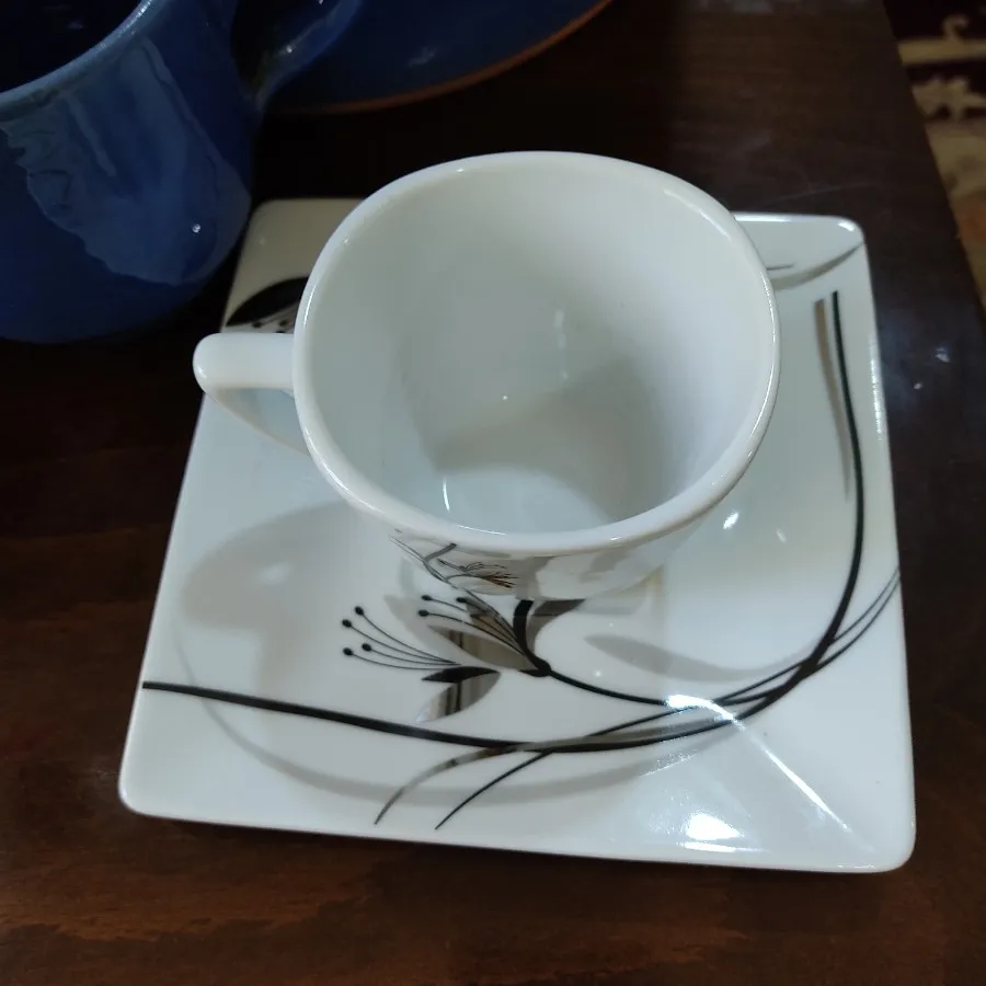 فنجان ونعلبکی