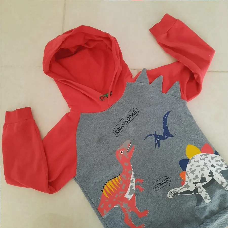 هودی پسرانه