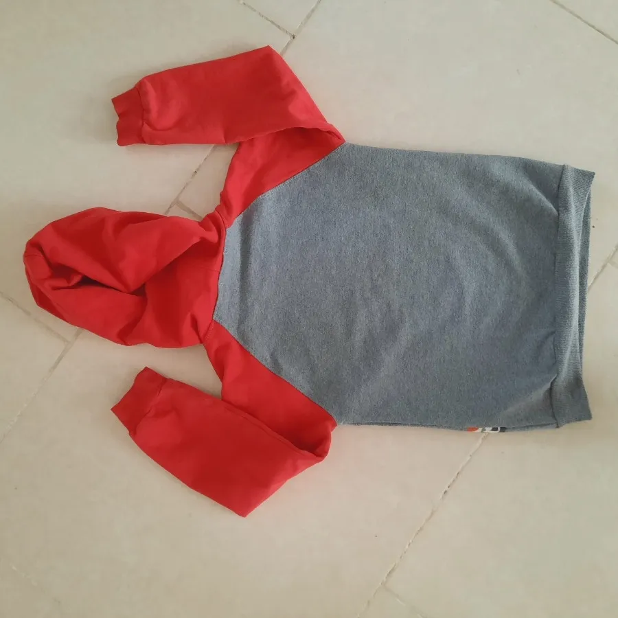 هودی پسرانه