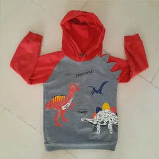 هودی پسرانه