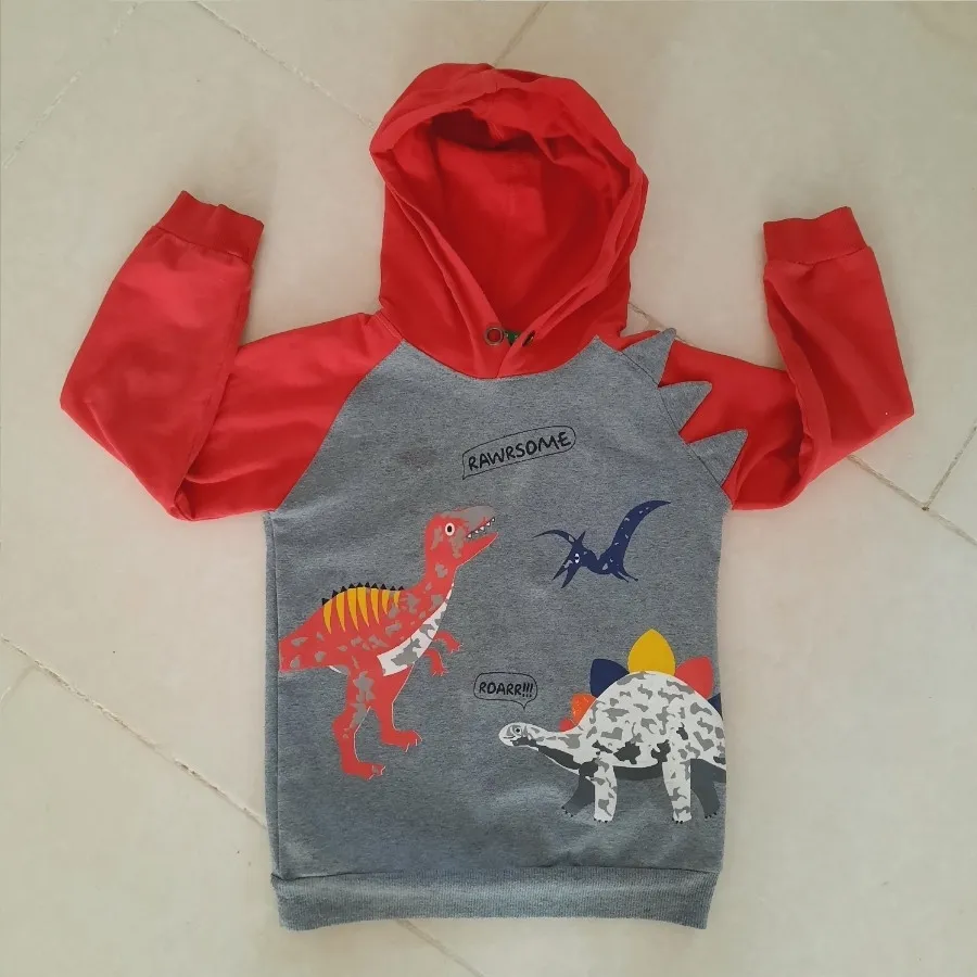 هودی پسرانه