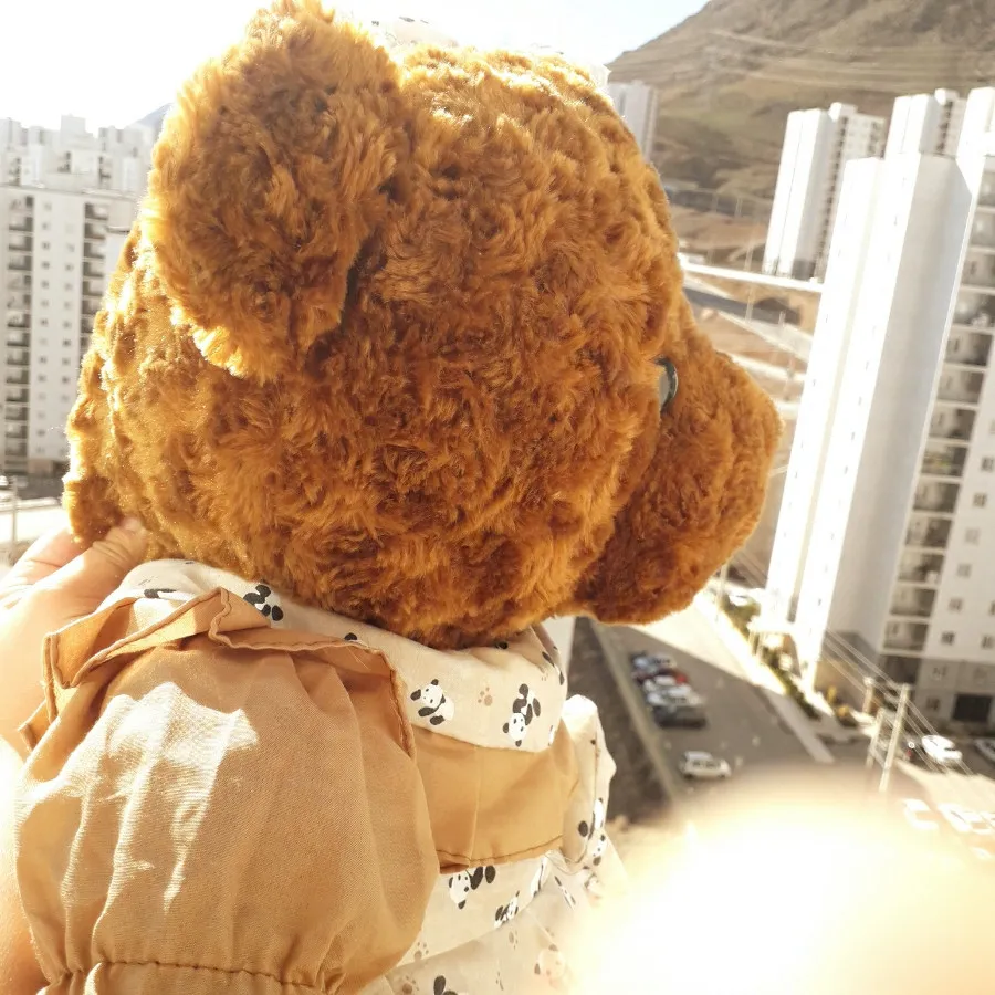 خرس قهوه ای