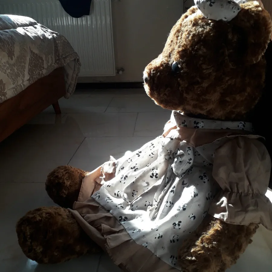 خرس قهوه ای