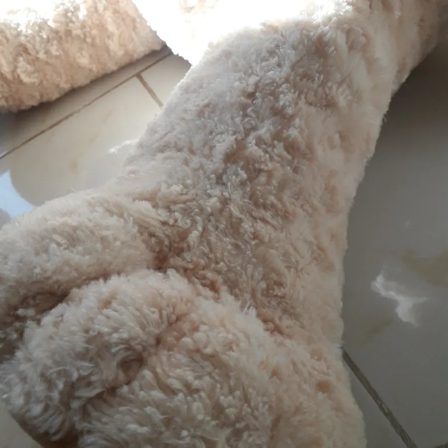 عروسک خرس