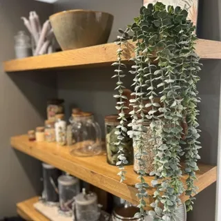 بوته ریسه