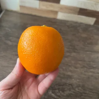میوه مصنوعی -پرتقال