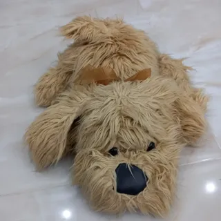 سگ خوابیده
