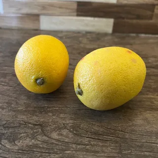 میوه مصنوعی -لیمو ترش