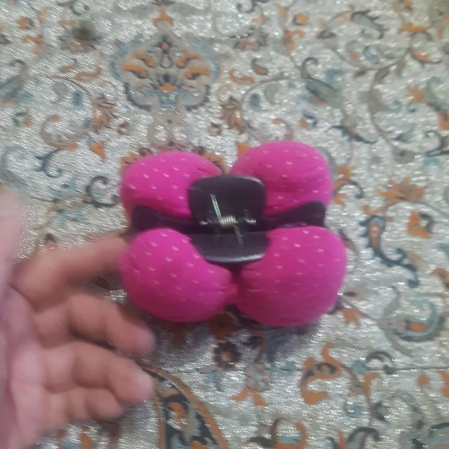 کلیپس پاپیونی