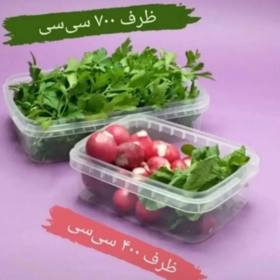 ظروف فریزری