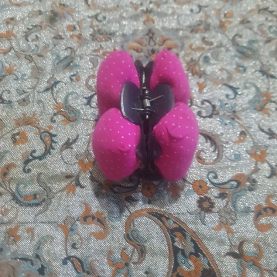 کلیپس پاپیونی