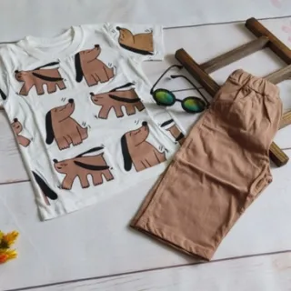 تیشرت شلوارک اسپورت
