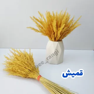 گل خشک قمیش(دسته حجمی)