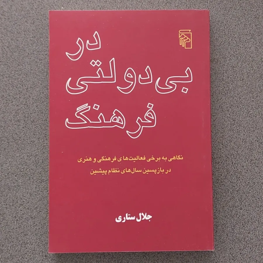 در بی دولتی فرهنگ