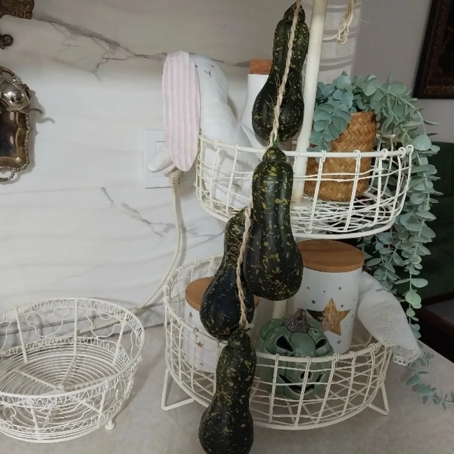 ریسه دکوراتیو کدو