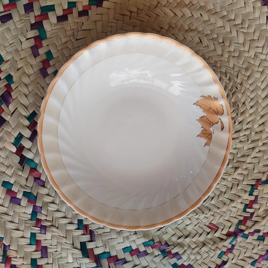 کاسه سالاد خوری